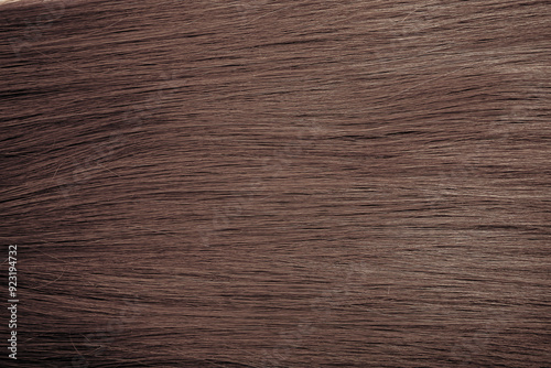 Wallpaper Mural Brown hair close-up as a background. Women's long brown hair. Beautifully styled wavy shiny curls. Hair coloring. Hairdressing procedures, extension. Torontodigital.ca
