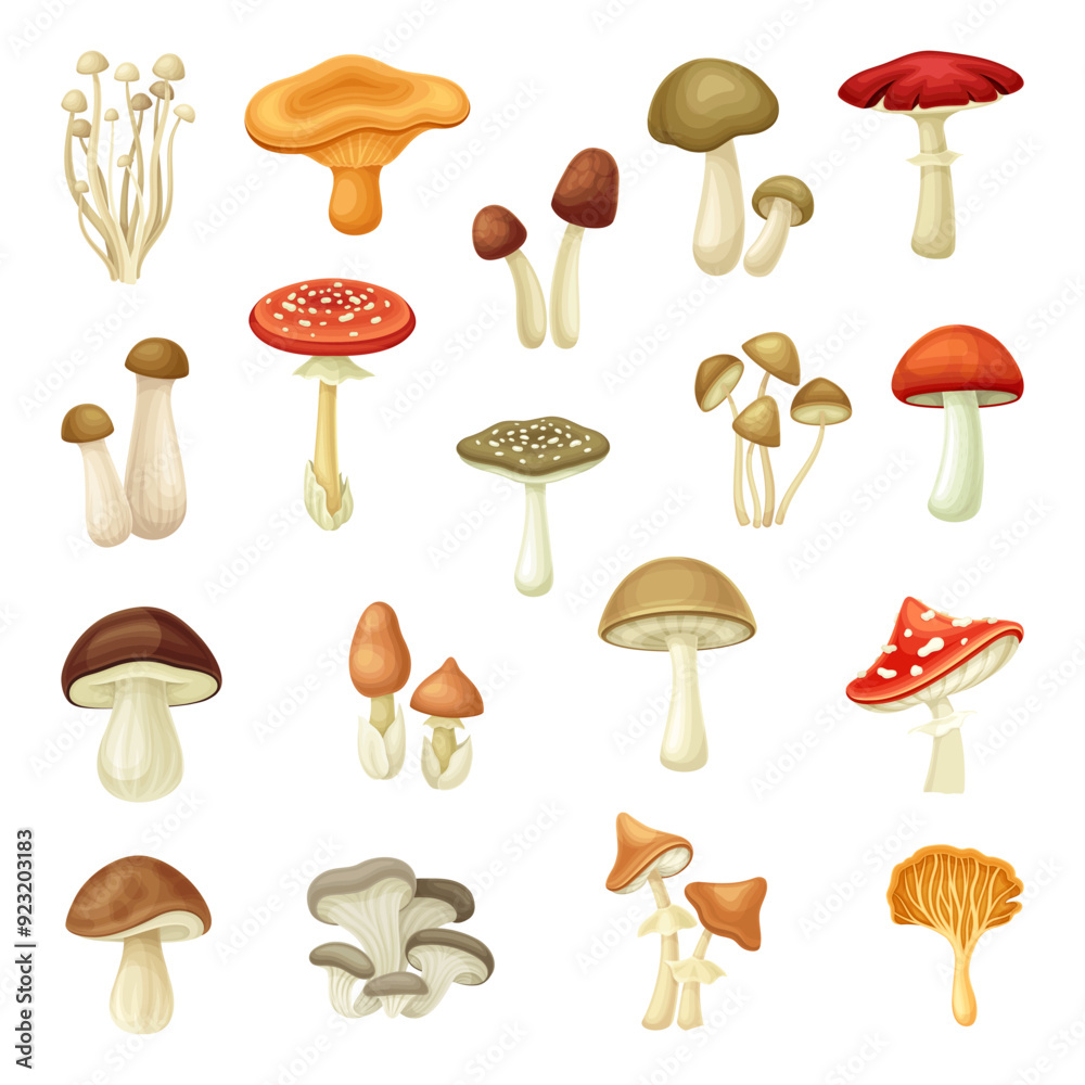 Mushroom Forest Plant with Stem and Cap Vector Set Mushroom Forest Plant with Stem and Cap Vector Set
