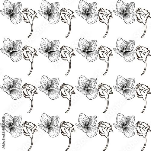 Seamless pattern of black and white flowers