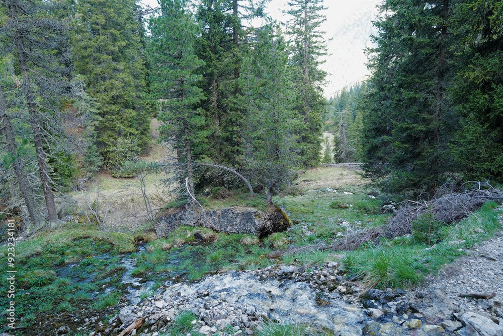Εκτύπωση καμβά Natural landscape of rocky waterfall creek among green forest park and snowcappe