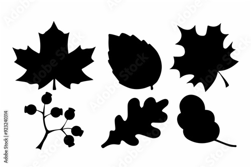 Black autumn leaves silhouette design.