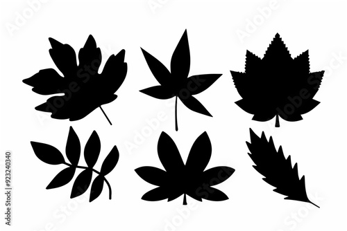 Black autumn leaves silhouette design.