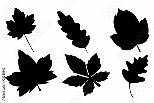 Black autumn leaves silhouette design.