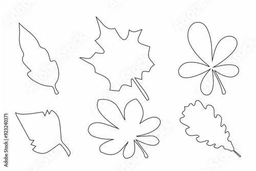 Elegant line art of autumn leaves, perfect for seasonal designs and decor.