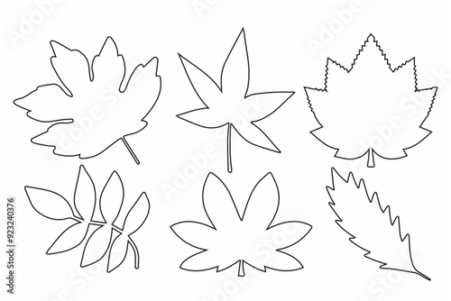 Elegant line art of autumn leaves, perfect for seasonal designs and decor.