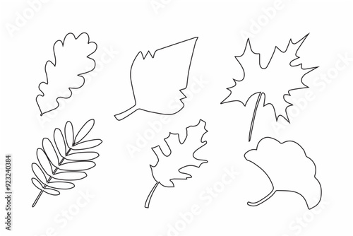 Elegant line art of autumn leaves, perfect for seasonal designs and decor.