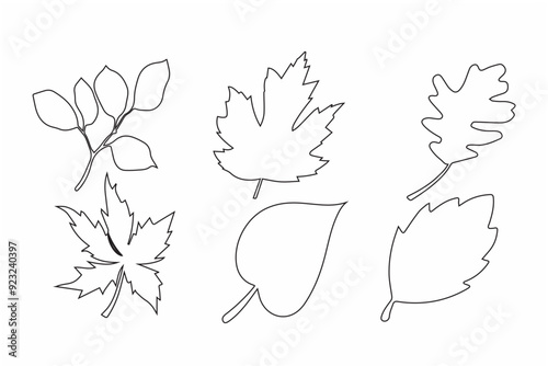 Elegant line art of autumn leaves, perfect for seasonal designs and decor.