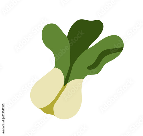 Bok choy, fresh green leafy vegetable. Organic Asian food, healthy natural le...