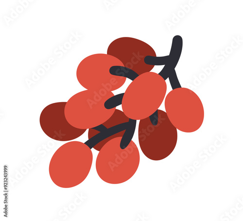 Grapes bunch. Berries cluster growing on branch, icon. Fresh ripe fruits on sprig. Healthy sweet vitamin eating, organic food. Flat graphic vector illustration isolated on white background