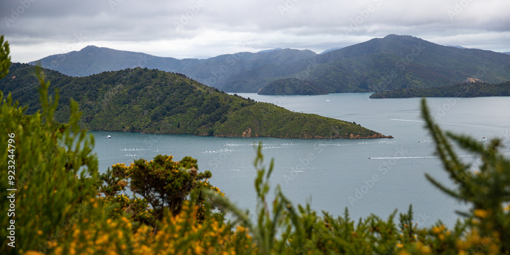 Fototapeta premium panorama of picton coastline, new zealand south island; beautiful green hills, small bays and little island; the view from the bobs bay reserve, snout track