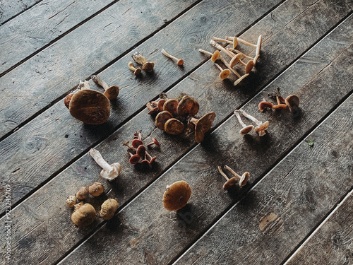 mushrooms on wooden table