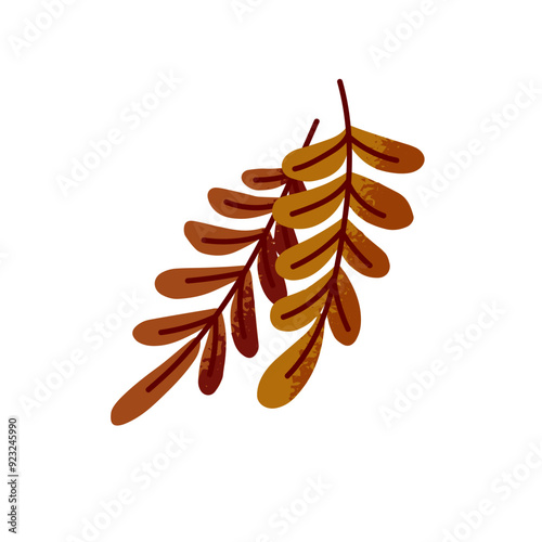Rowan's leaves in hand drawn style. Dry tree foliage in autumn season. Autumnal twigs with leafage icon. Decoration element with fall nature. Flat isolated vector illustration on white background