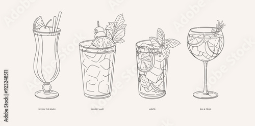 Mojito, Gin & Tonic, Sex on the beach, Bloody Mary. Set of popular alcoholic cocktails in linear style. Illustration for drinks cards, bar and wedding menus, cards and website graphics.