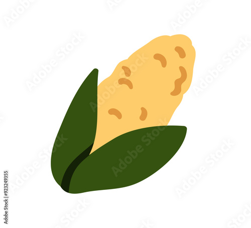 Corn cob, fresh sweet vegetable. Maize, corncob in leaf husk, healthy natural...