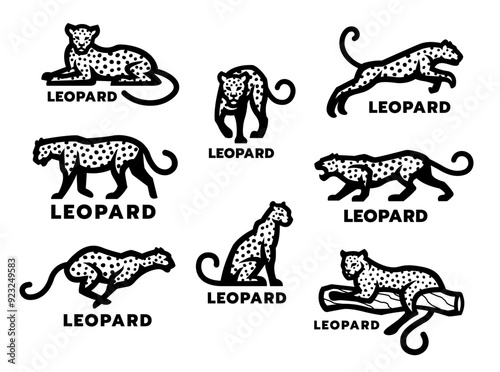 Photography A set of wildcat logos. Leopard, jaguar, cheetah.