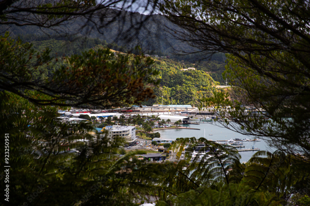 Φωτογραφία panorama of picton harbour seen from tirohanga track; new zealand south island,