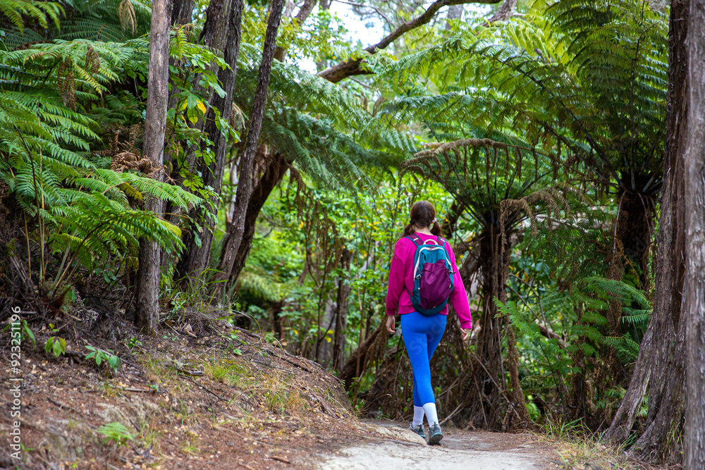 Naklejka premium woman enjoys a walk through dense rainforest in new zealand south island - tirohanda track in picton, marlborough region