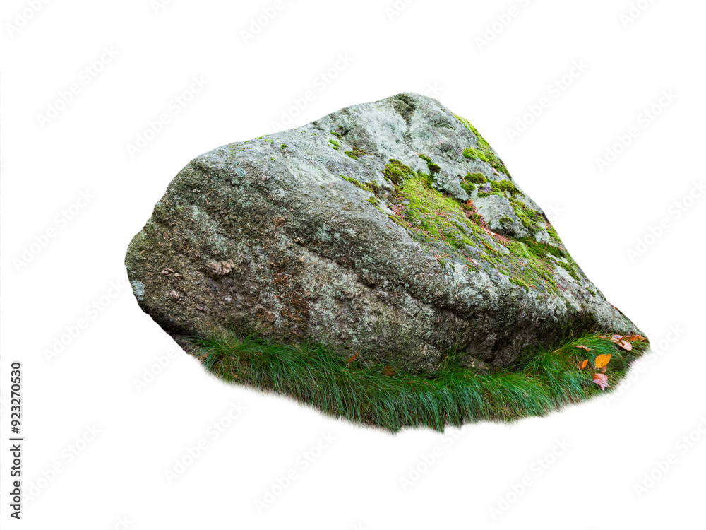 stone covered with moss isolated on white background stone covered with moss isolated on white background