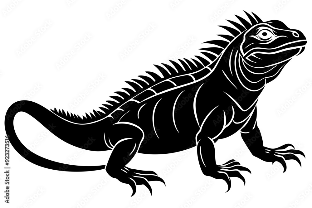 iguana on a branch iguana on a branch