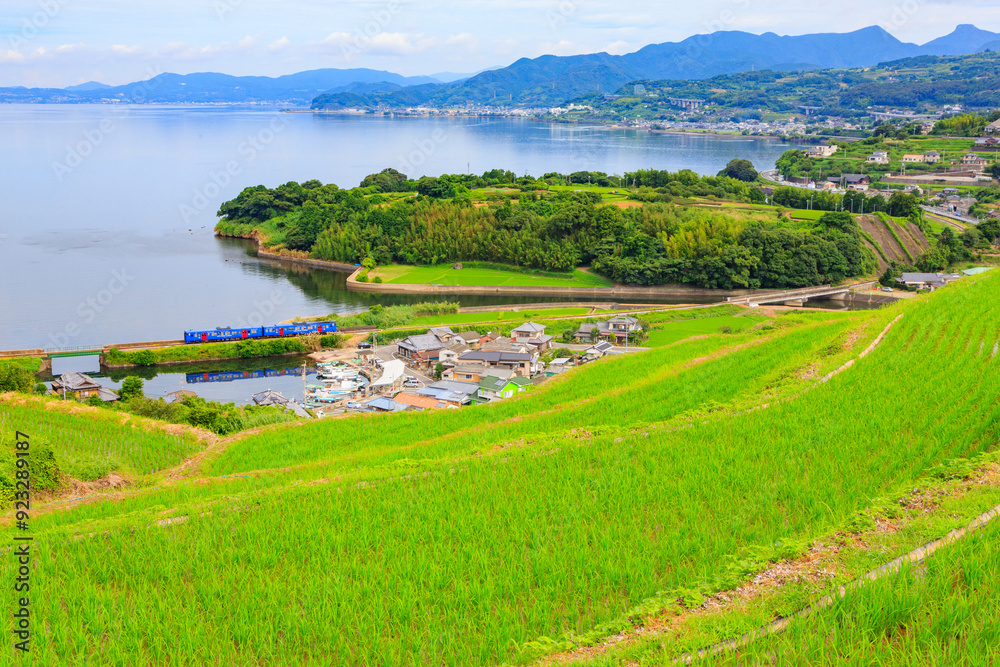 江の串の棚田から大村湾を望む 江の串の棚田から大村湾を望む