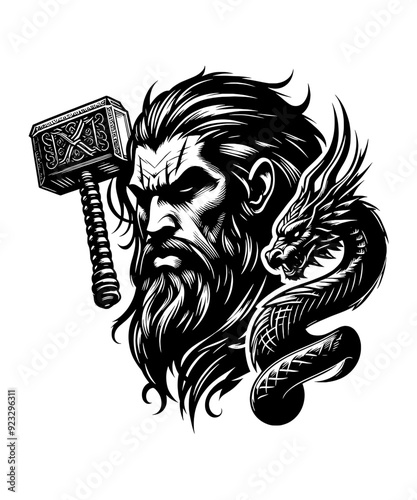 Viking warrior