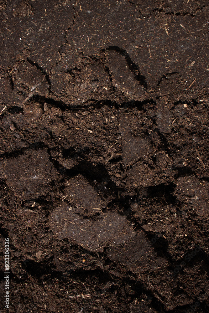 Soil close-up. Soil for planting plants. Copy space. Soil texture Soil close-up. Soil for planting plants. Copy space. Soil texture
