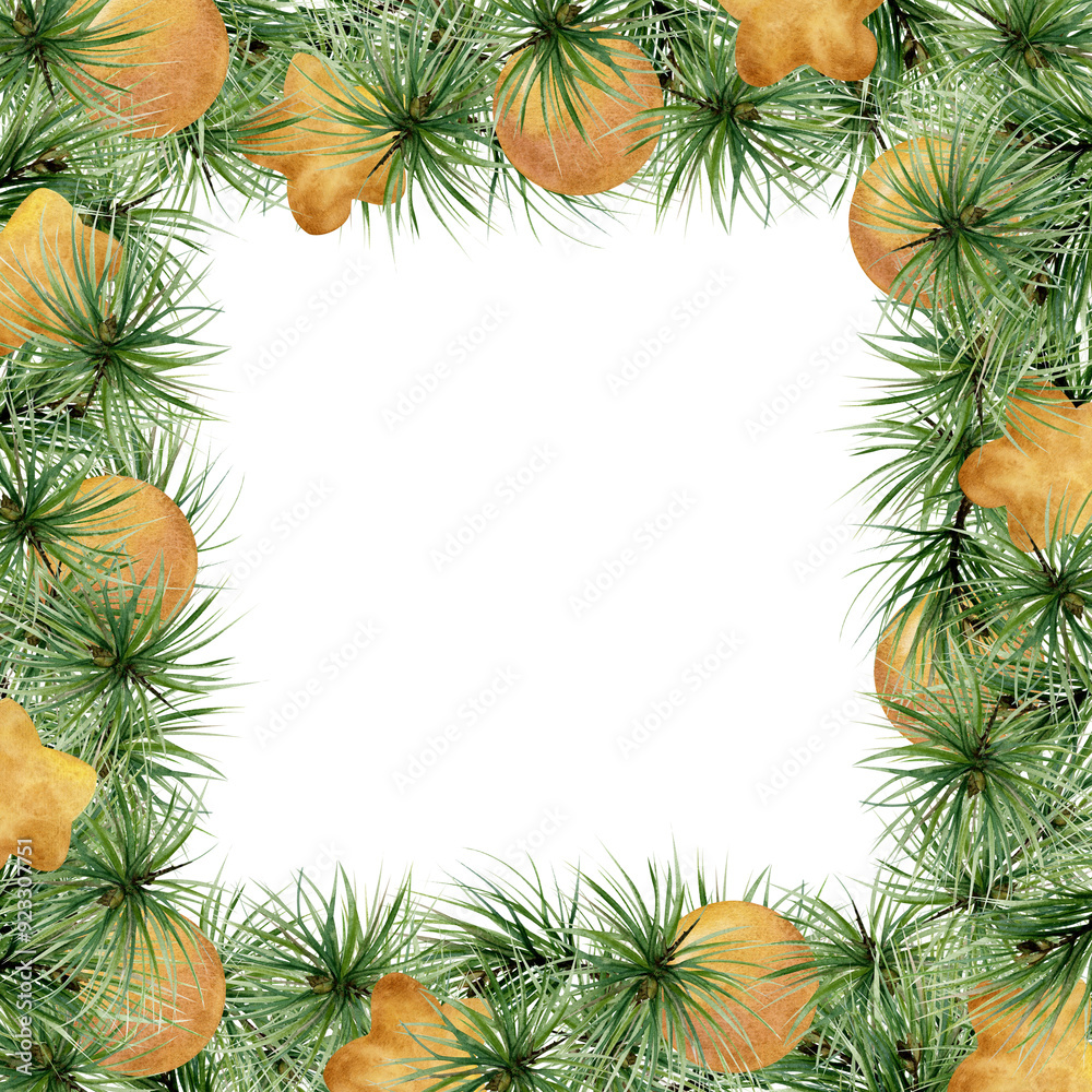 Pine tree, fir tree, spruce branches, gold bauble balls. Watercolor hand drawn illustration, border frame isolated on white. Xmas, happy new year festive, noel navidad. Cards, gifts, florist shop. Pine tree, fir tree, spruce branches, gold bauble balls. Watercolor hand drawn illustration, border frame isolated on white. Xmas, happy new year festive, noel navidad. Cards, gifts, florist shop.