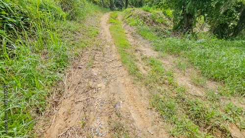 Rough gravel road passing through green forest. Dirt road with mud in valley. 