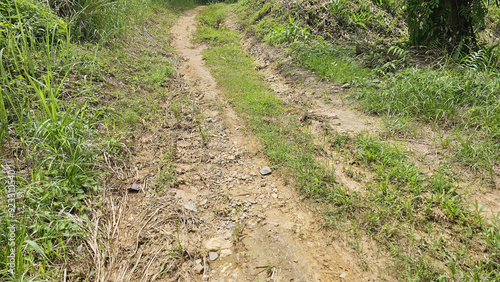 Rough gravel road passing through green forest. Dirt road with mud in valley. 