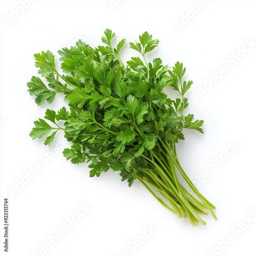 Close up of green leaves of parsley on an isolated white background 