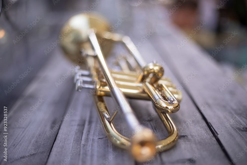 Fototapeta premium Golden trumpet. Musical instrument. A wind instrument.