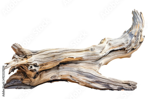 stump of driftwood isolated on white or transparent png