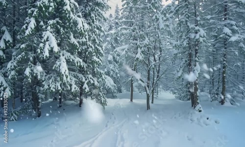 Wallpaper Mural beautiful 3d view of snowfall in forest Torontodigital.ca