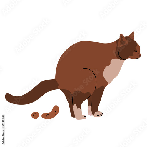 Pooping cat. Maintenance and care of pets. Responsibility for the pet and the environment. Vector cartoon illustration isolated on a transparent background.