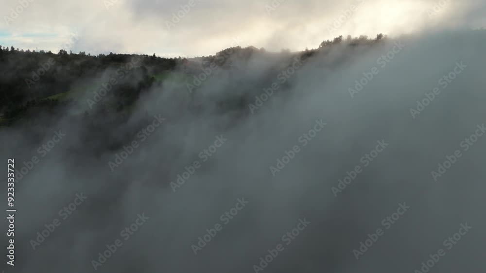 A breathtaking early morning scene showing dense fog enveloping a forest, creating a mysterious and serene atmosphere with soft light filtering through the misty air. A breathtaking early morning scene showing dense fog enveloping a forest, creating a mysterious and serene atmosphere with soft light filtering through the misty air.