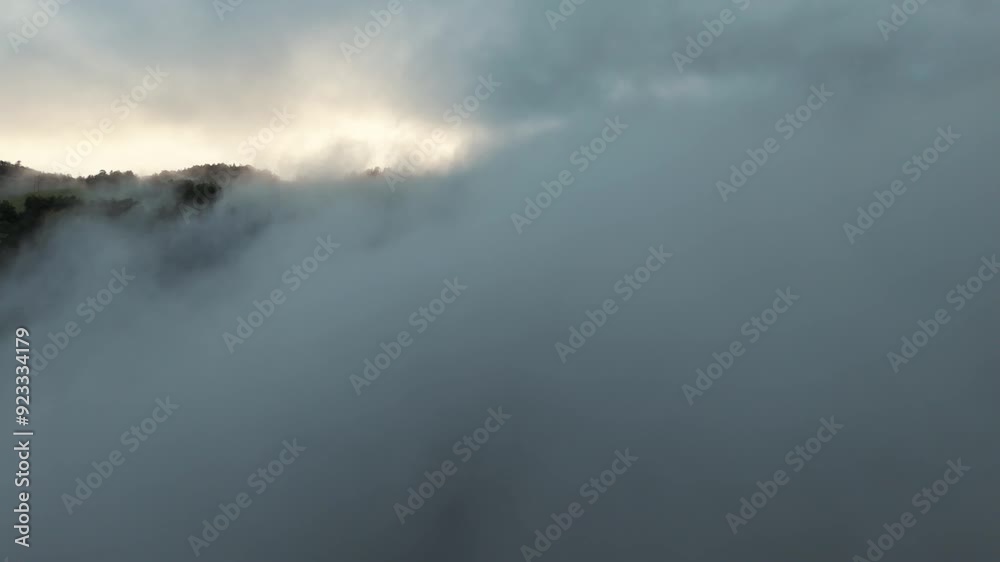 A mesmerizing aerial view capturing dense fog rolling over a lush forest, showcasing nature's beauty and tranquility. A mesmerizing aerial view capturing dense fog rolling over a lush forest, showcasing nature's beauty and tranquility.