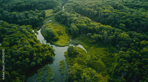 Aerial perspective of a lush green forest with a winding river cutting through the landscape, captured from a drone.