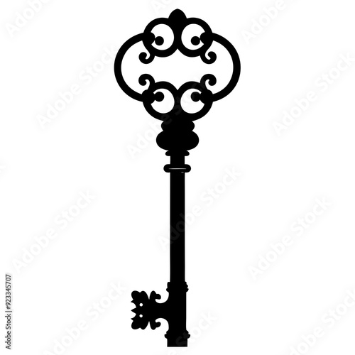 keys on a white background silhouette vector illustration