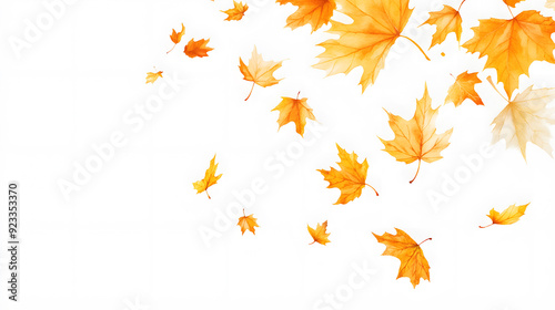 Realistic yellow and orange maple leaves falling against a white background	