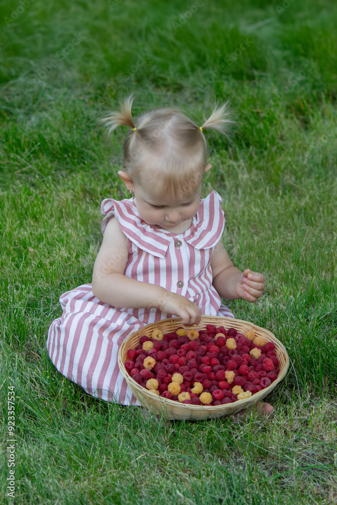 a little girl eats a raspberry. Selective focus a little girl eats a raspberry. Selective focus