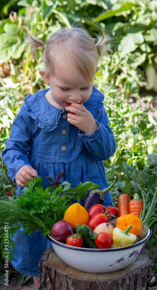 little girl freshly picked vegetables in a bowl. Selective focus little girl freshly picked vegetables in a bowl. Selective focus