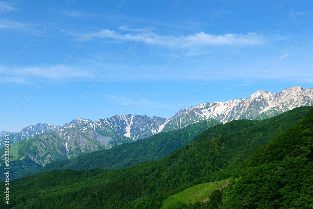 Fototapeta premium 初夏の栂池自然園。小谷、長野、日本。6月下旬。