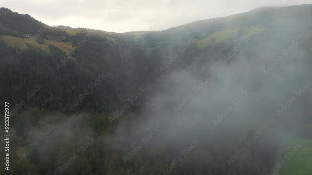 Aerial Flying Through Misty Fog Over Forest Trees Aerial Flying Through Misty Fog Over Forest Trees
