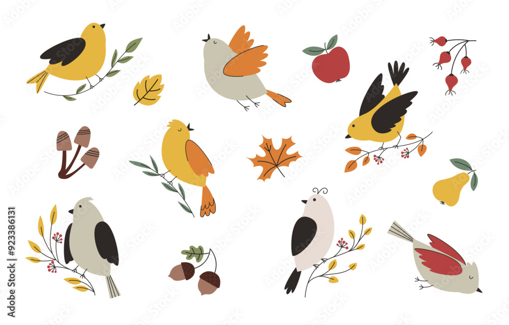 Fototapeta premium Cute autumn birds vector set. Collection of fall elements for design of postcards, clothes, stickers and posters.