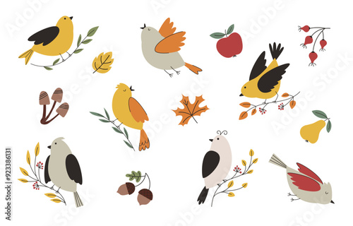 Cute autumn birds vector set. Collection of fall elements for design of postcards, clothes, stickers and posters.