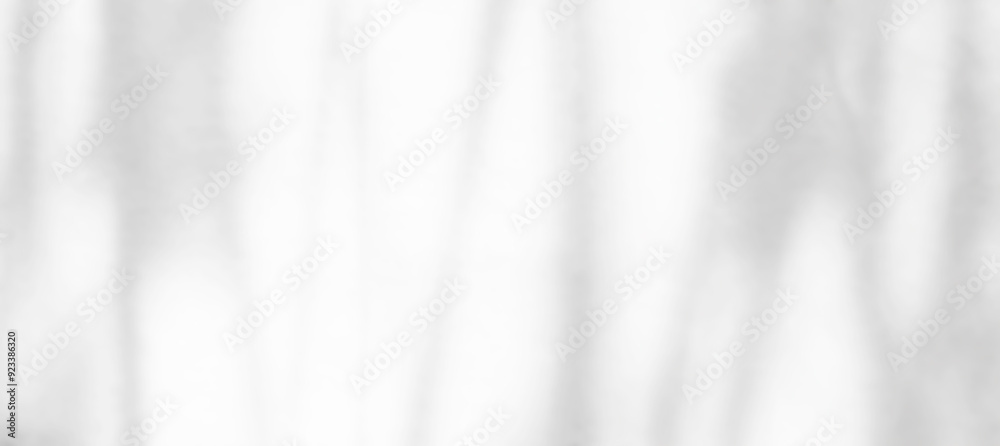 Obraz premium Shadow light summer background sunight overlay nature on room cement wall floor abstract blur muckup effect grey minimal platform for presentation product backdrop, wallpaper template display.