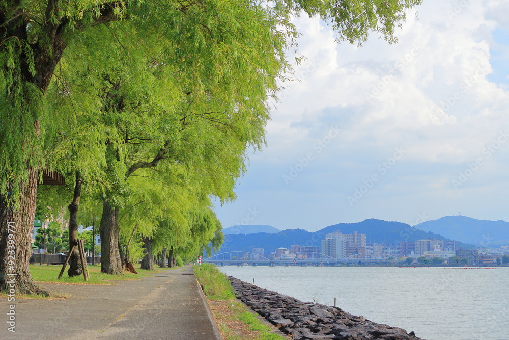 夏の琵琶湖岸の樹木と対岸の風景 夏の琵琶湖岸の樹木と対岸の風景