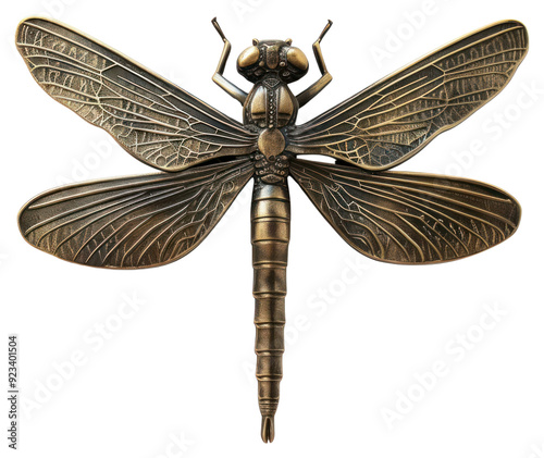 PNG Whimsigoth brass dagonfly symbol invertebrate anisoptera appliance. photo