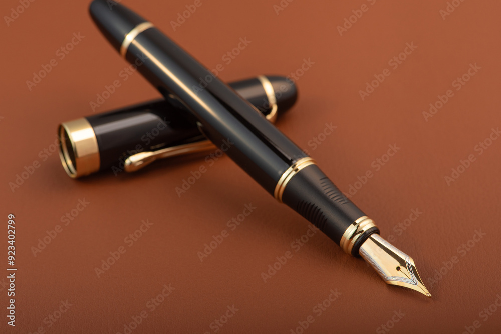 Fototapeta premium Fountain pen, beautiful fountain pen positioned on leather surface, selective focus.