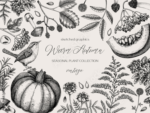 Vintage autumn frame design. Thanksgiving background. Fall leaves, pumpkins, berries, mushrooms sketches. Hand-drawn vector illustration. NOT AI generated